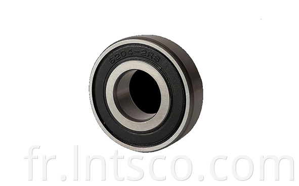 6204 Bearing